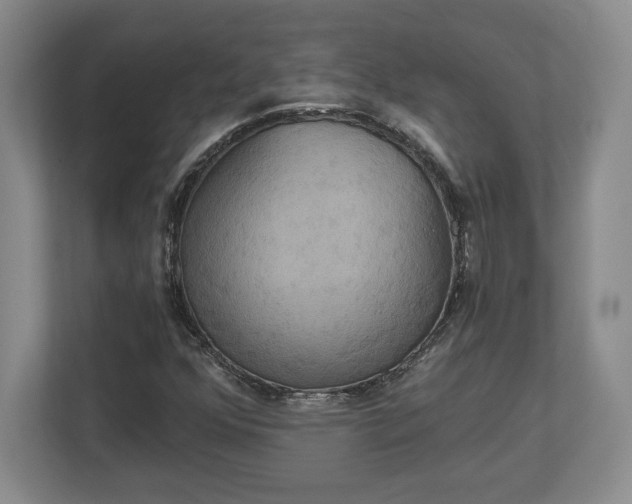 X0000113061352200909041029