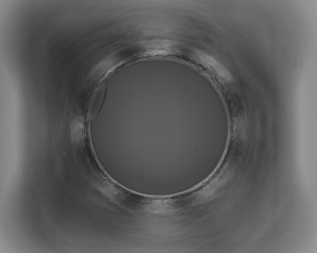X0000113061353200909041029