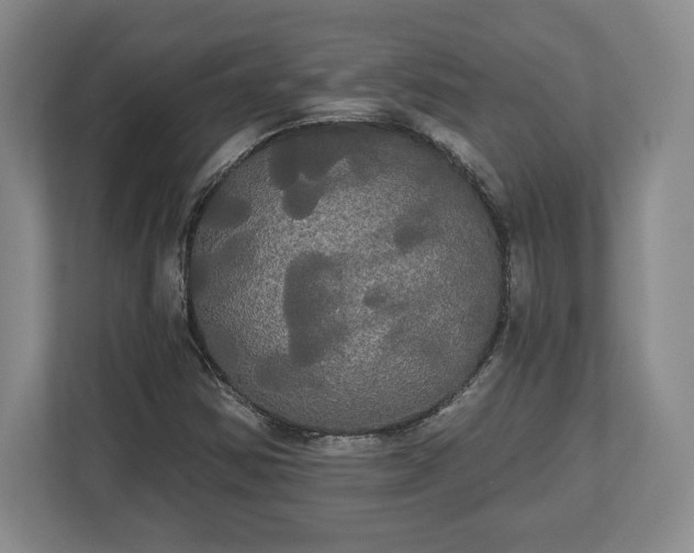X0000113061354200909041029