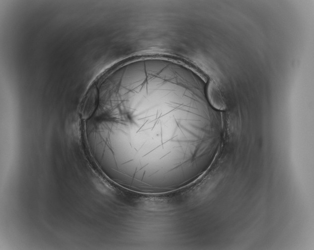 X0000113061356200909041029