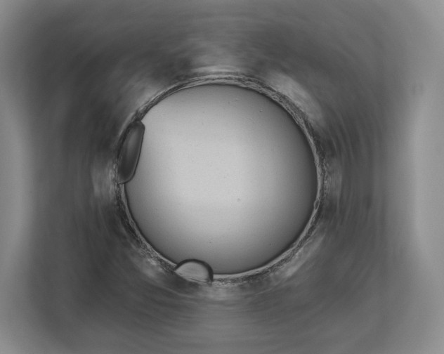 X0000113061357200909041029