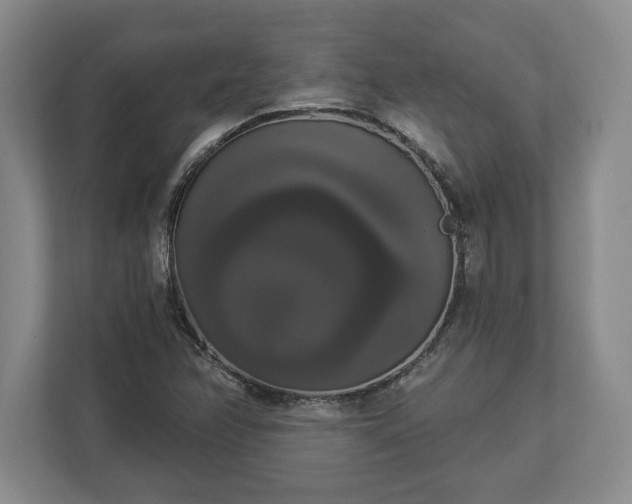 X0000113061358200909041029