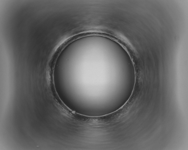 X0000113061360200909041029