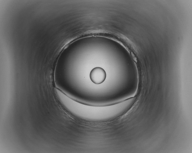 X0000113061361200909041029