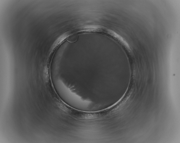 X0000113061362200909041029