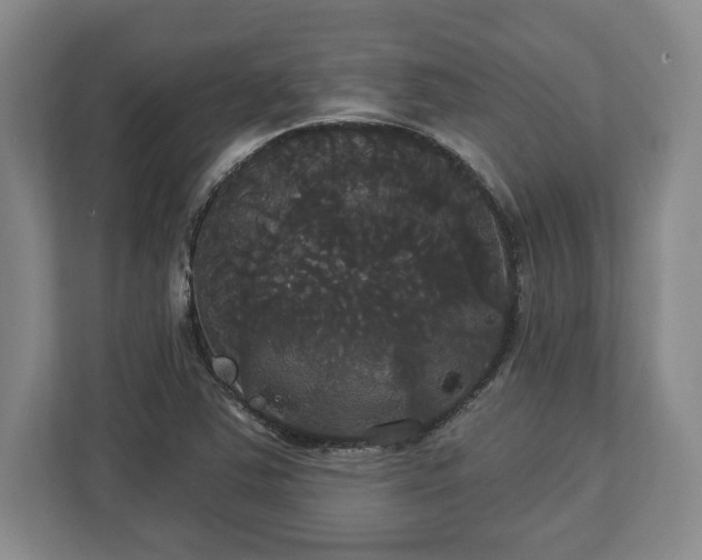 X0000113061363200909041029