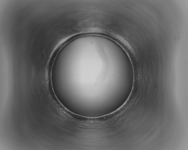 X0000113061364200909041029