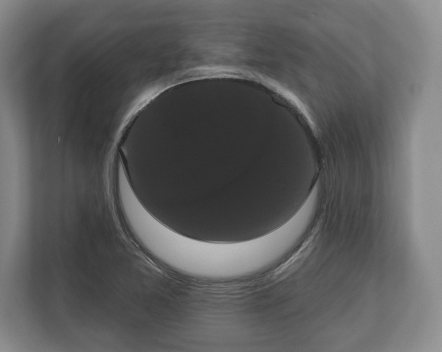 X0000113061365200909041029