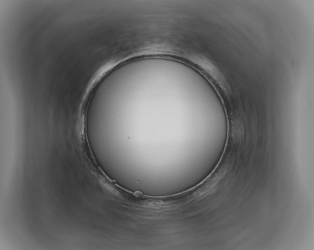 X0000113061366200909041029