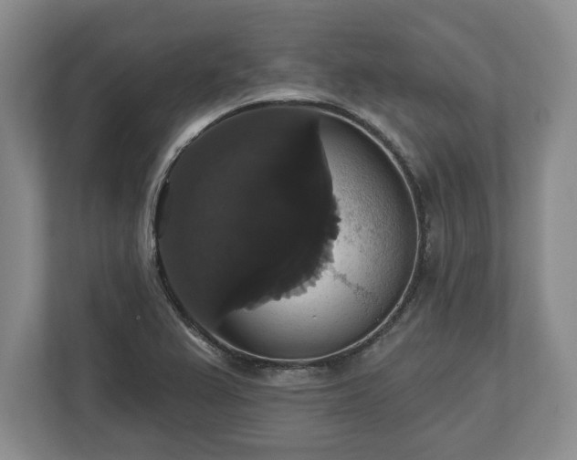 X0000113061367200909041029