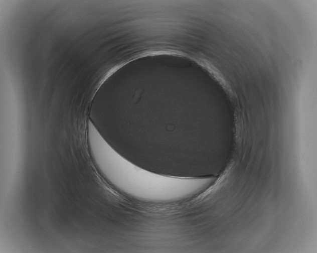 X0000113061369200909041029