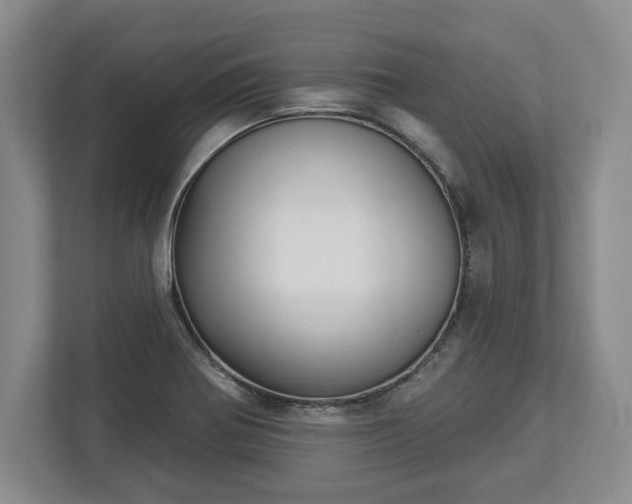 X0000113061370200909041029