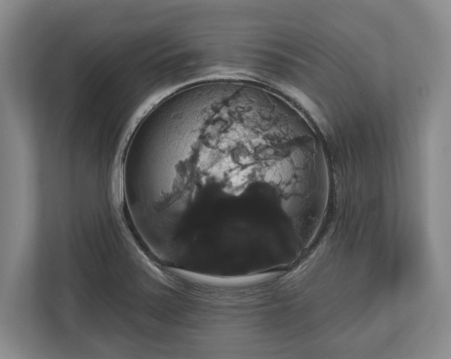 X0000113061371200909041029
