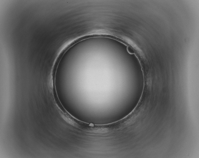 X0000113061372200909041029