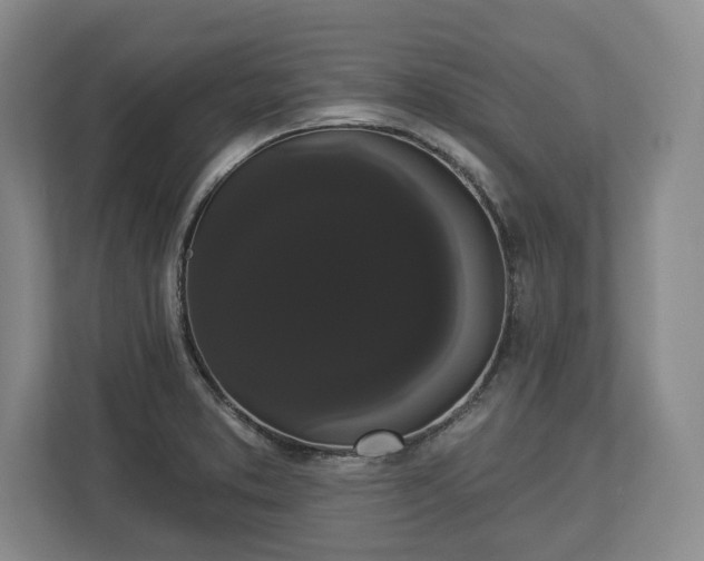 X0000113061373200909041029