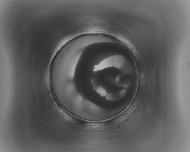 X0000113061374200909041029