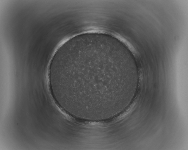 X0000113061375200909041029
