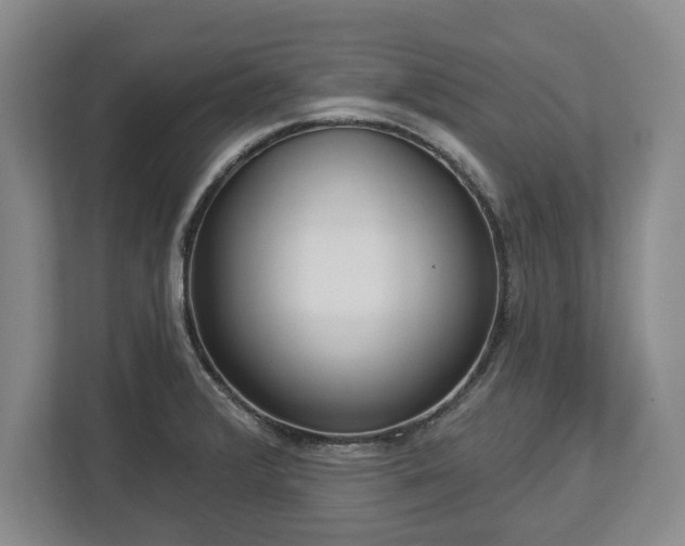 X0000113061376200909041029