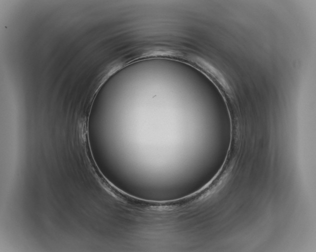 X0000113061377200909041029