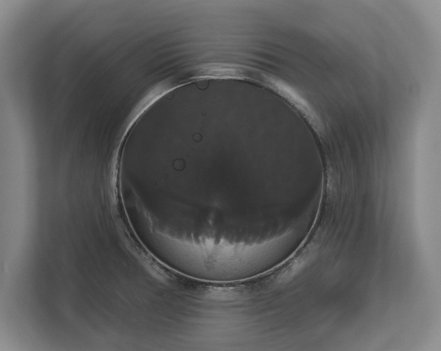 X0000113061378200909041029