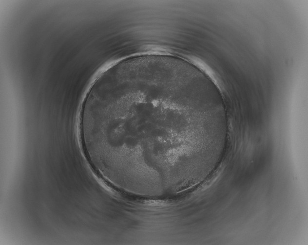 X0000113061379200909041029
