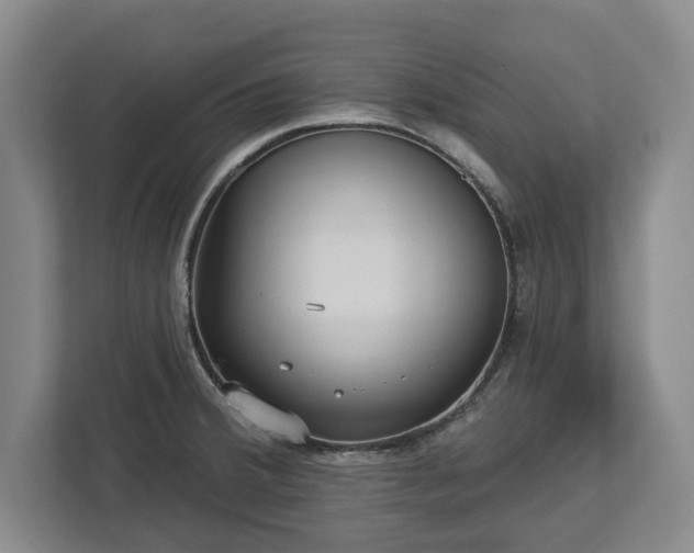 X0000113061380200909041029