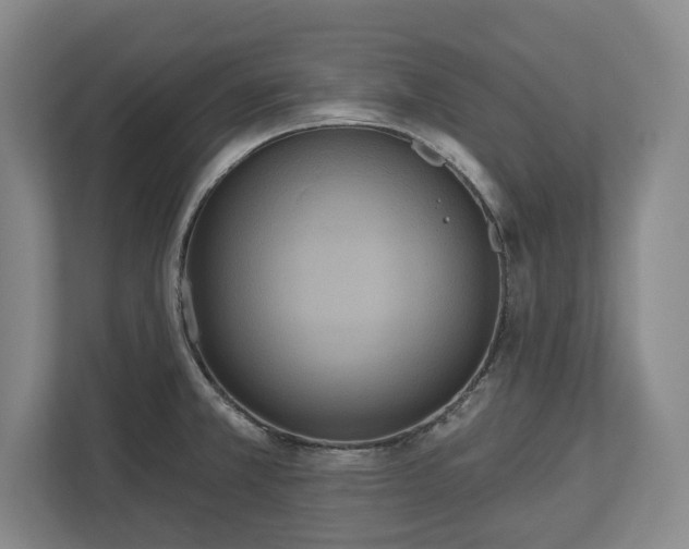 X0000113061381200909041029