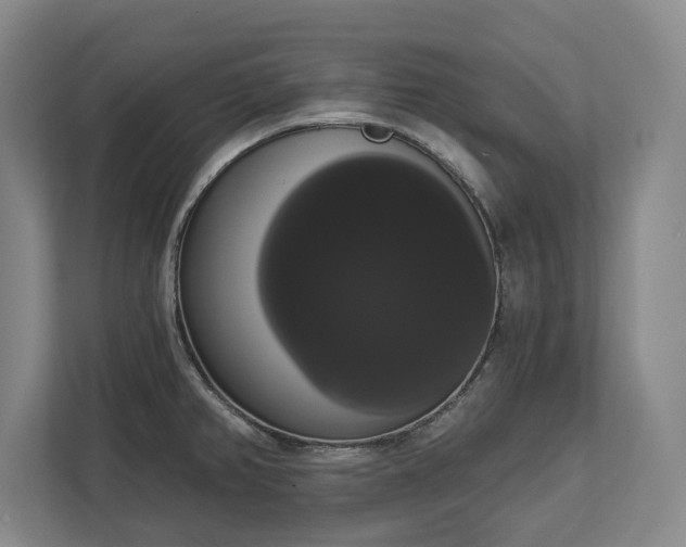 X0000113061382200909041029