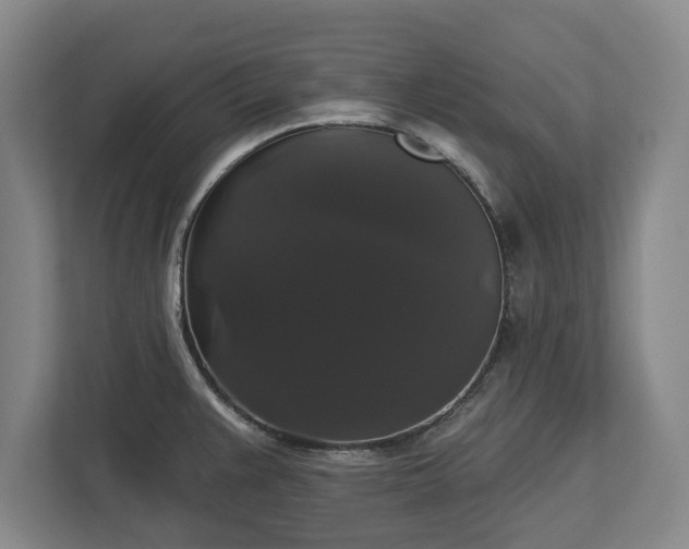X0000113061383200909041029