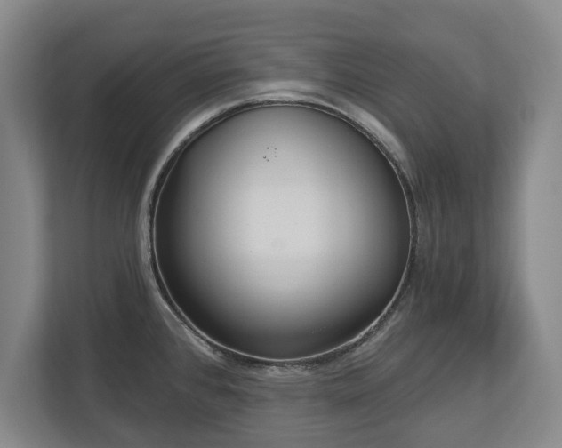 X0000113061384200909041029