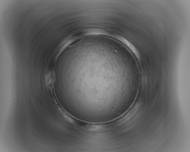 X0000113061385200909041029