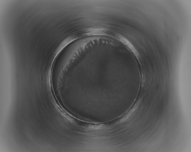 X0000113061386200909041029