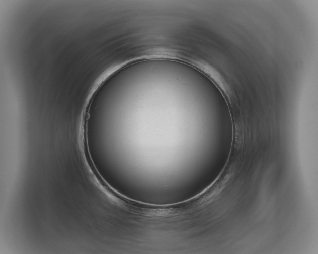 X0000113061387200909041029