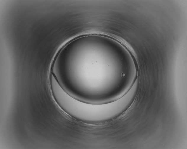 X0000113061388200909041029