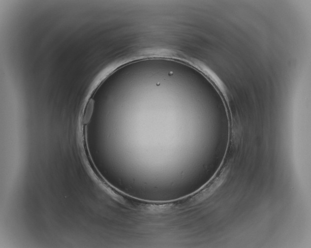 X0000113061389200909041029