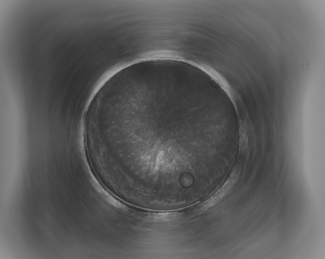 X0000113061390200909041029