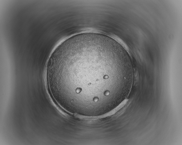 X0000113061391200909041029
