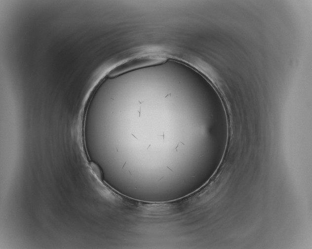 X0000113061392200909041029