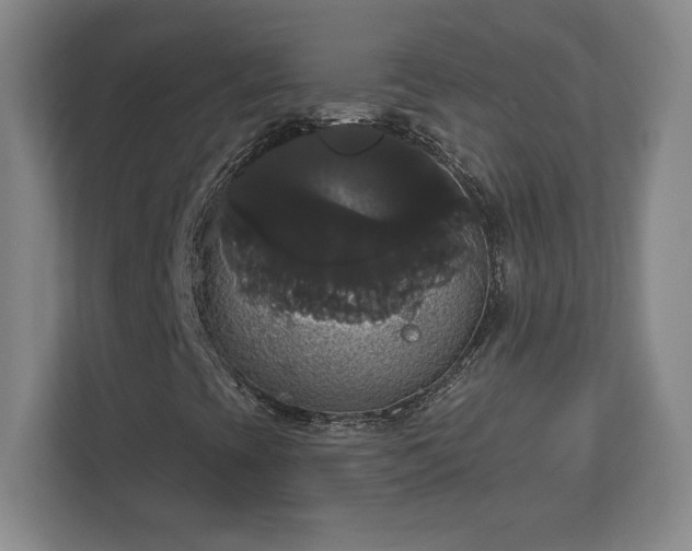 X0000113061393200909041028