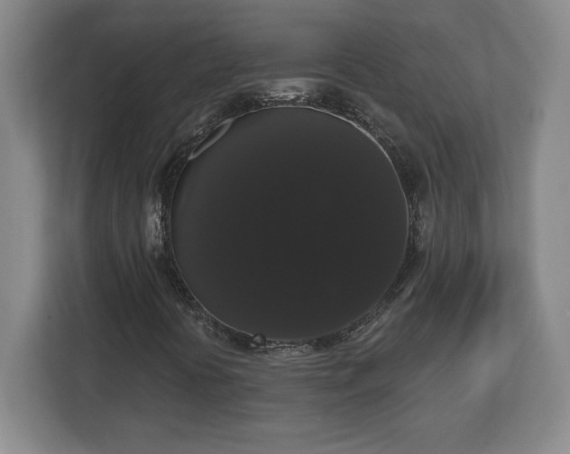 X0000113061394200909041028