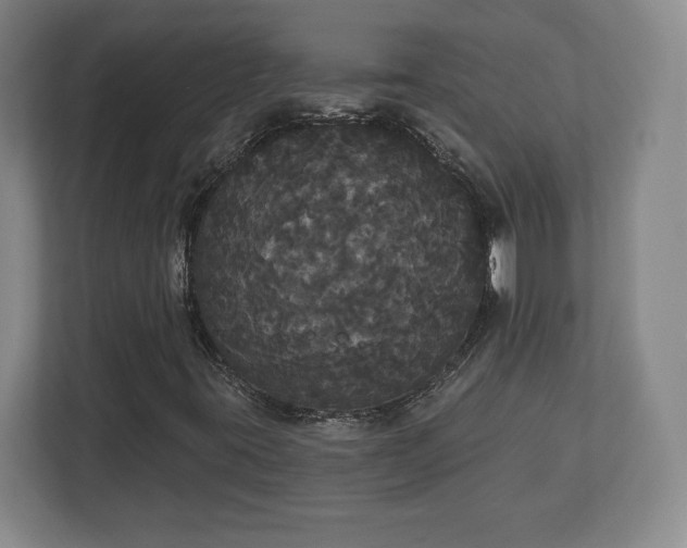 X0000113061395200909041028
