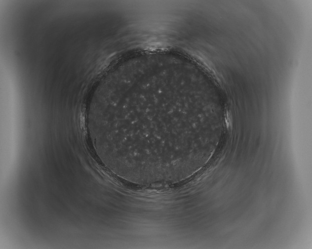 X0000113061396200909041028