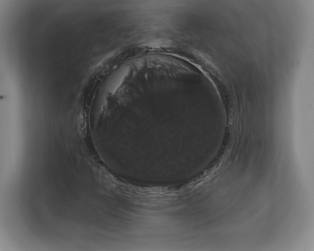 X0000113061398200909041028
