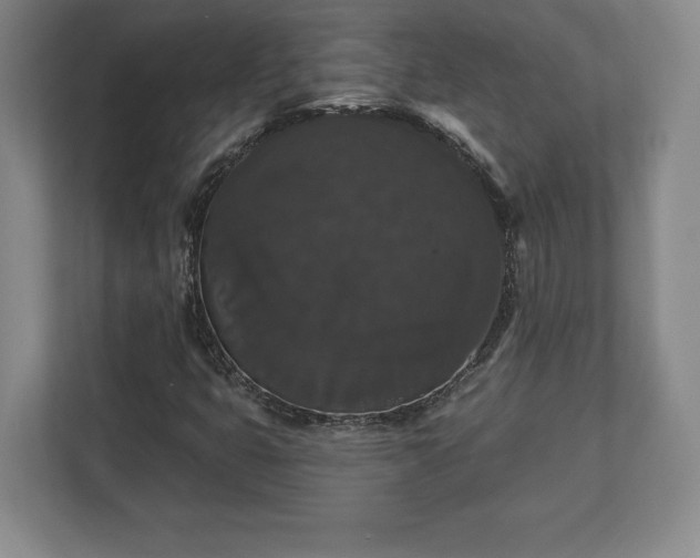 X0000113061399200909041028