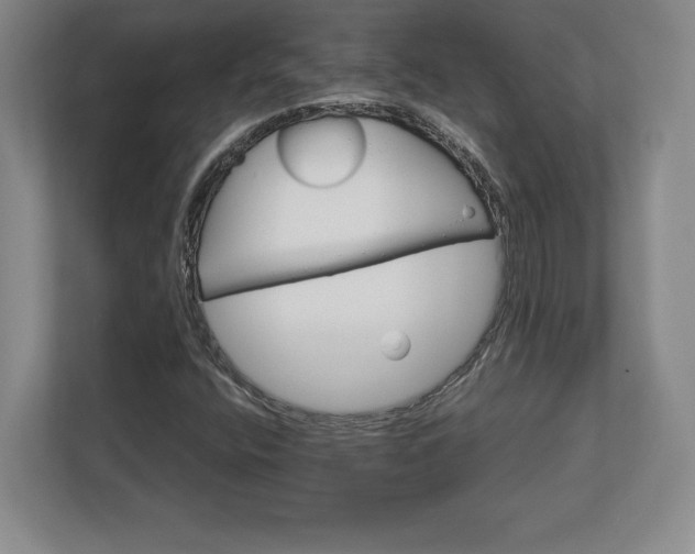X0000113061400200909041028