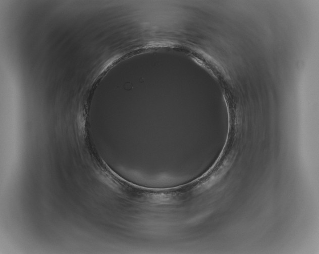 X0000113061401200909041028