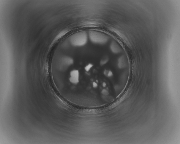 X0000113061402200909041028