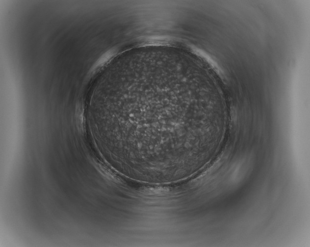 X0000113061403200909041028