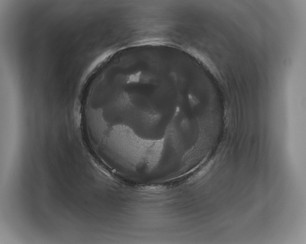 X0000113061406200909041028