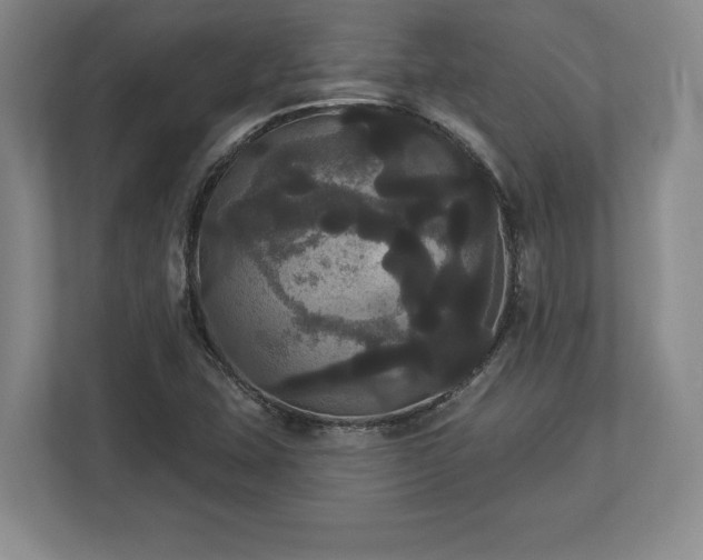 X0000113061407200909041028